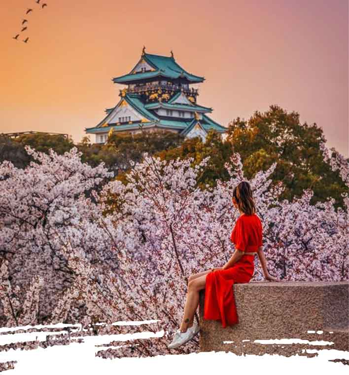 Viajes a Japón 15 días Todo Incluido