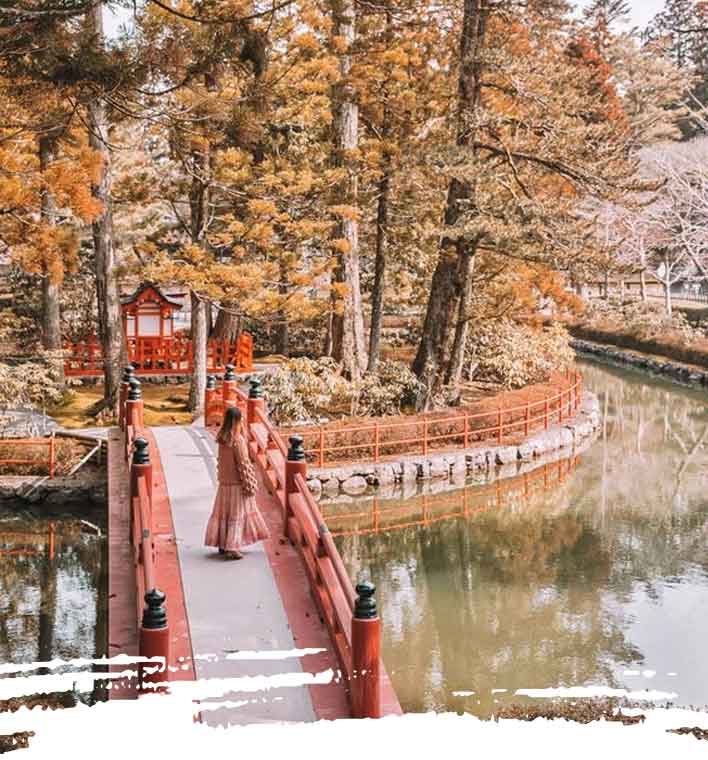 Paquete a Japón 11 días con Tour